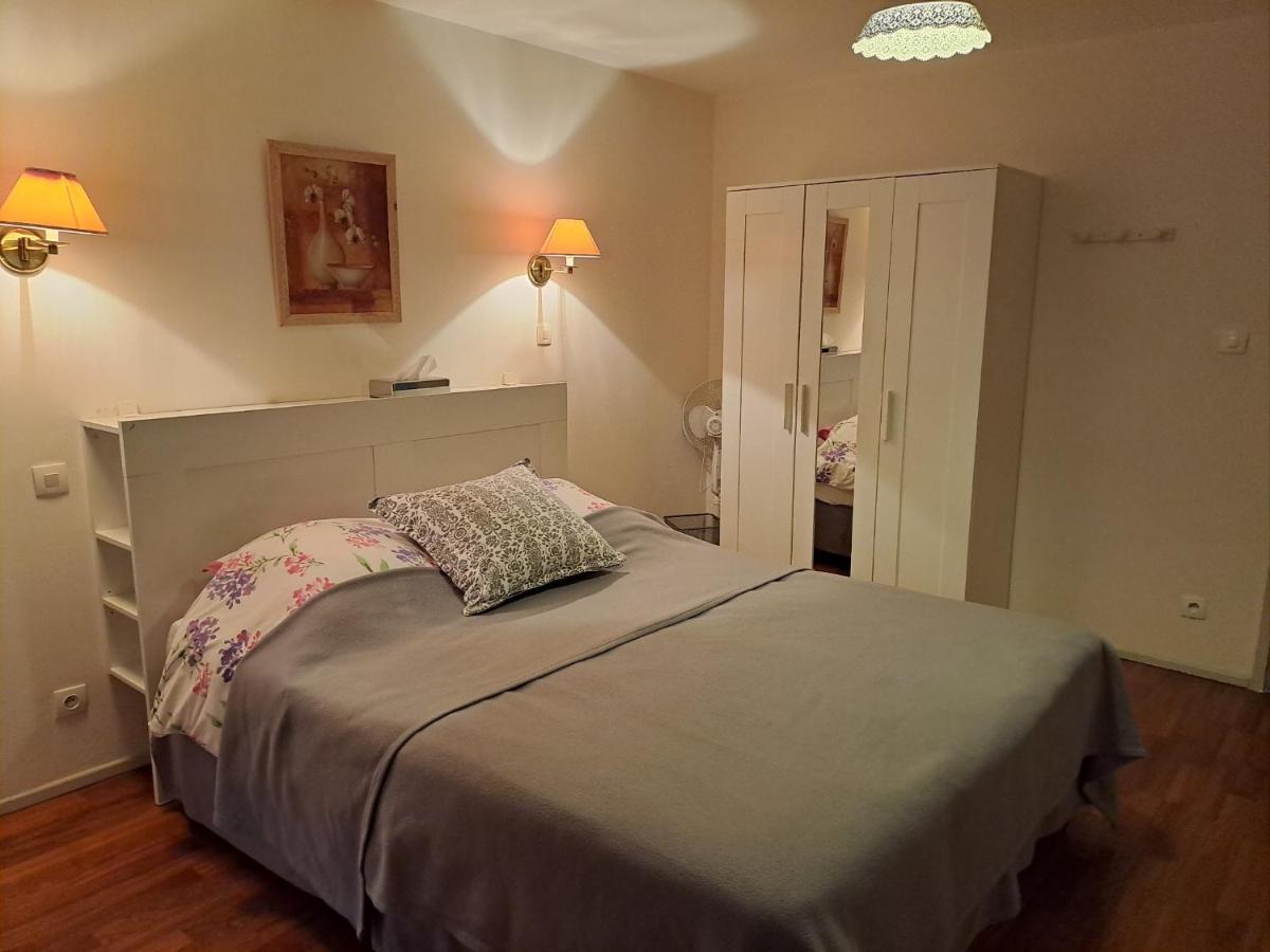Appartements Residilaverde Hypercentre Grenoble Bagian luar foto